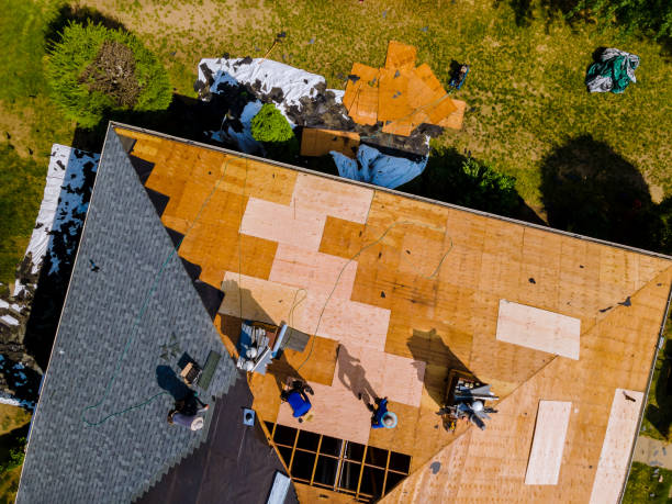 Best Metal Roofing Contractor  in Brocton, NY