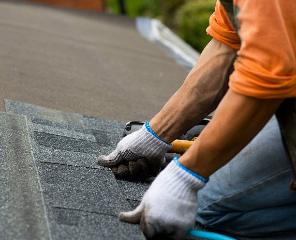 Best Storm Damage Roof Repair  in Brocton, NY